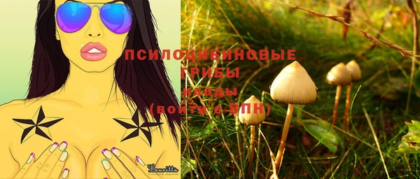 дмт Кодинск