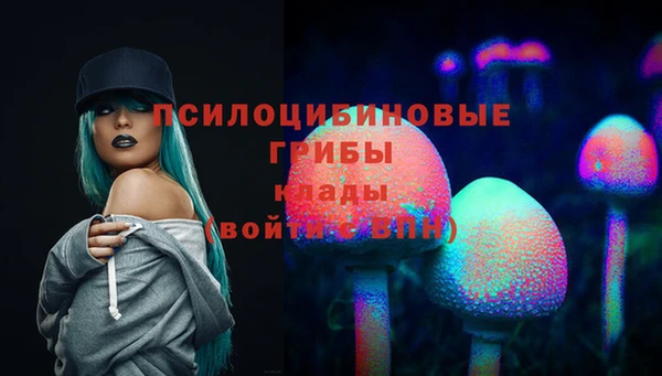 синтетический гашиш Киреевск