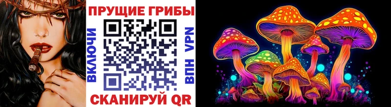Купить закладки  Чапаевск  Галлюциногенные грибы прущие грибы 